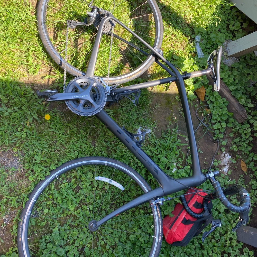 Trek Road Bicycle
